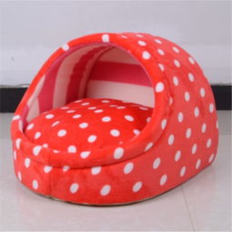 當(dāng)陽光射進(jìn)陰霾 蘑菇街優(yōu)店與寵物日用品的情感聯(lián)結(jié)